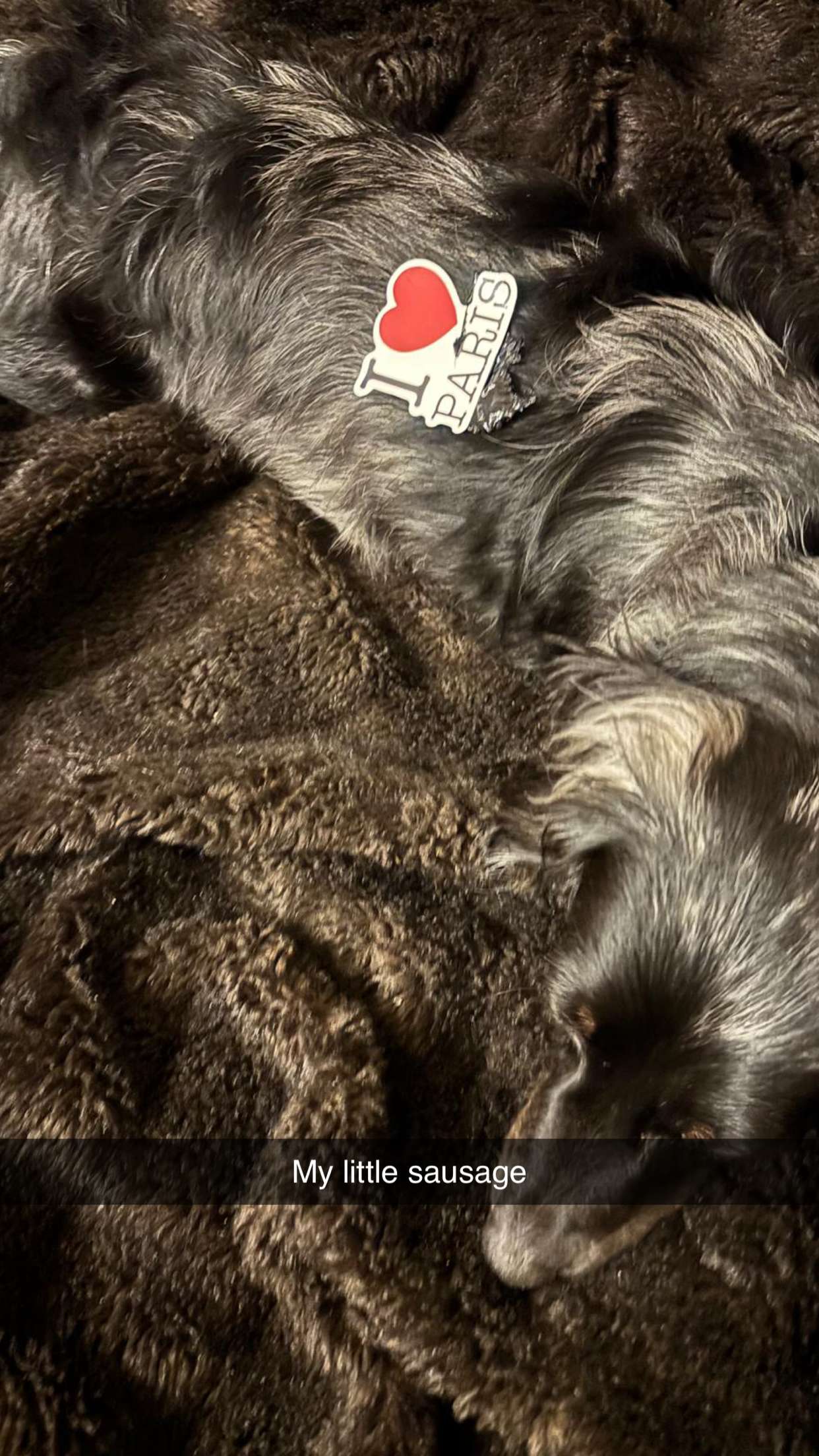 ppwyang0 snapchat image archive image