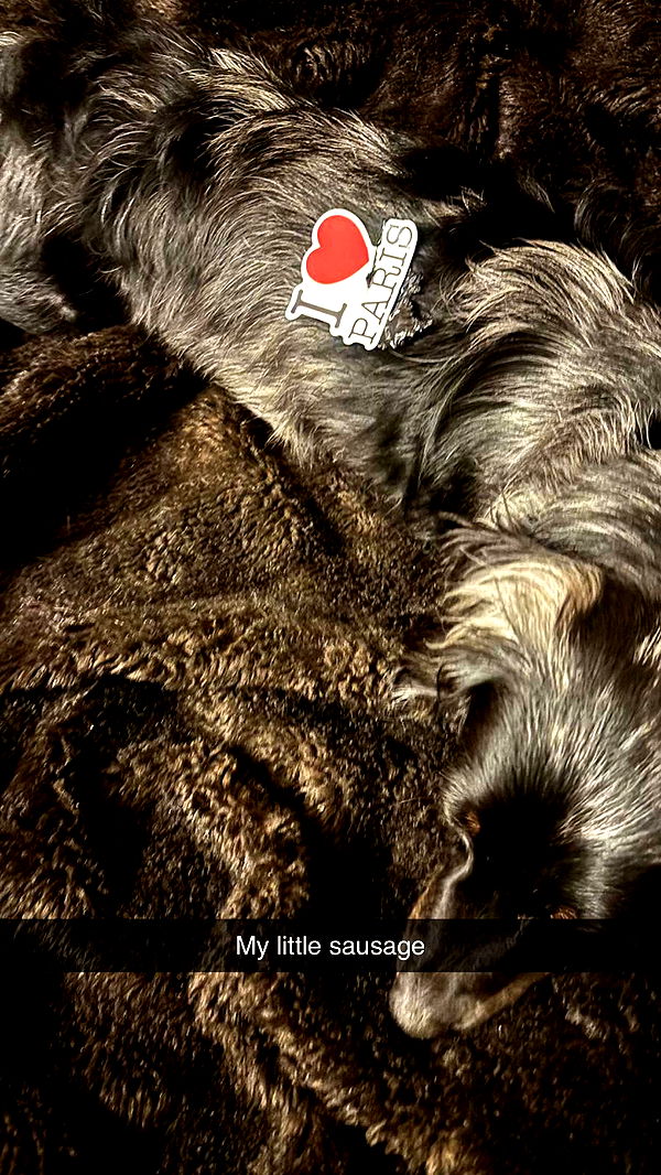 ppwyang0 image ~ Altpins