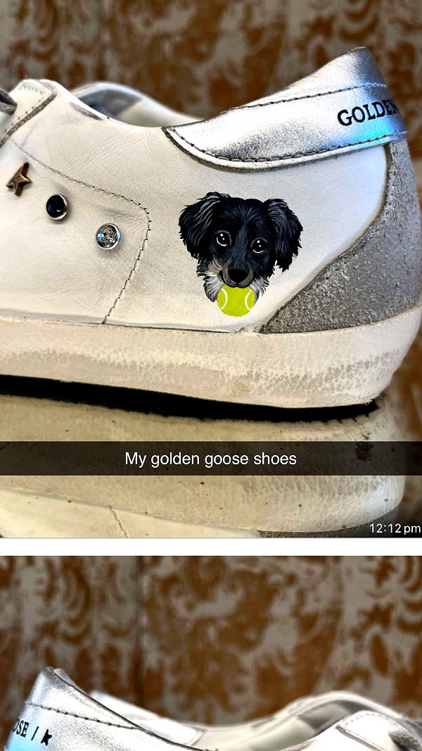 ppwyang0 image ~ Altpins