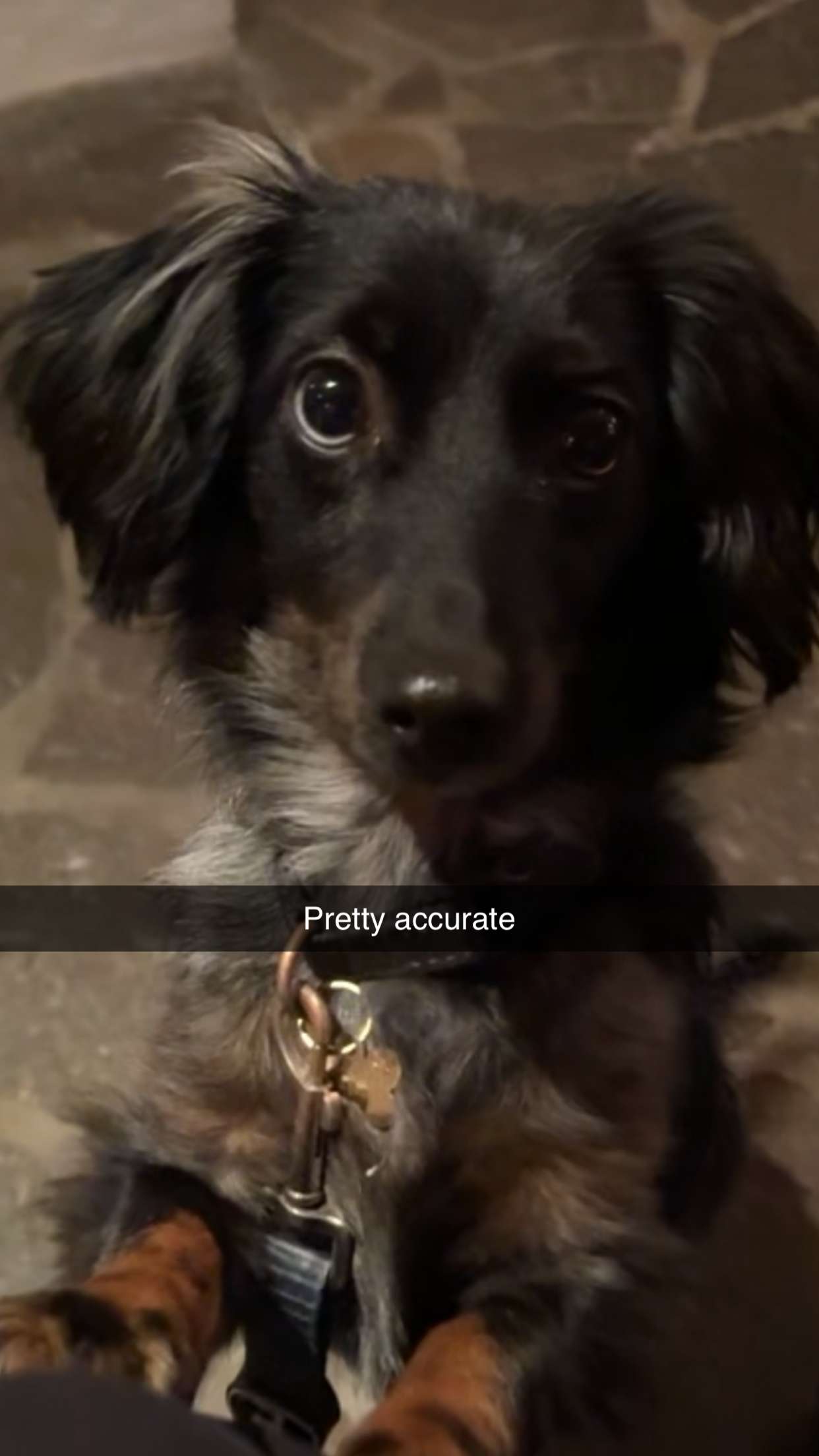 ppwyang0 snapchat image archive image