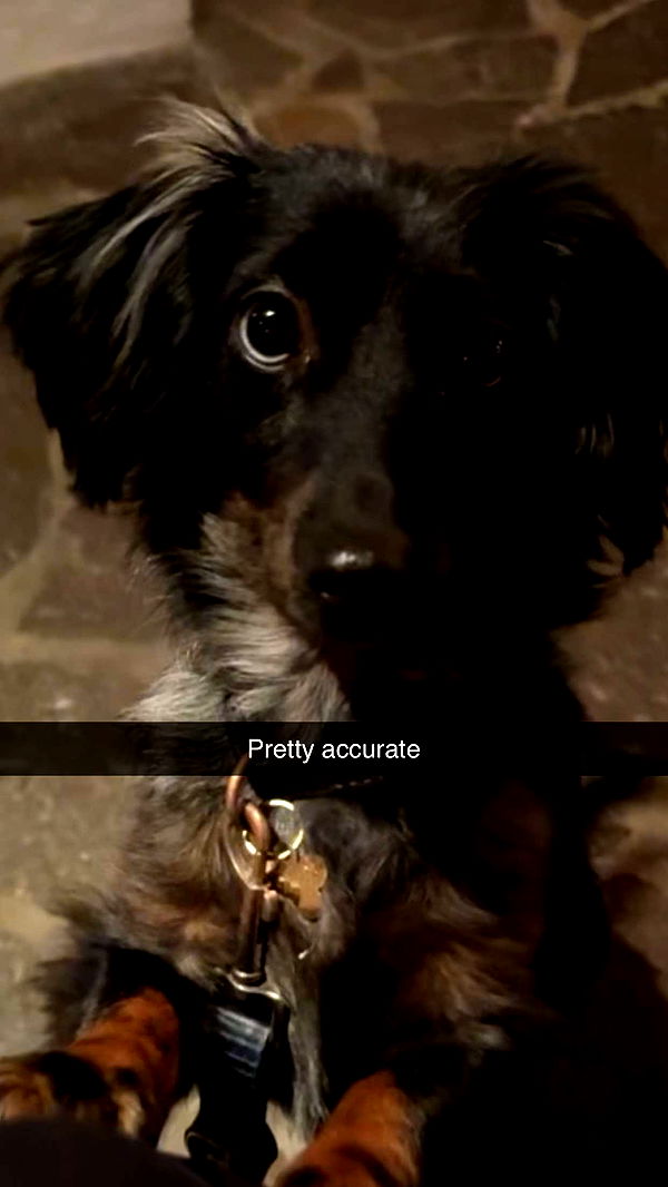 ppwyang0 image ~ Altpins