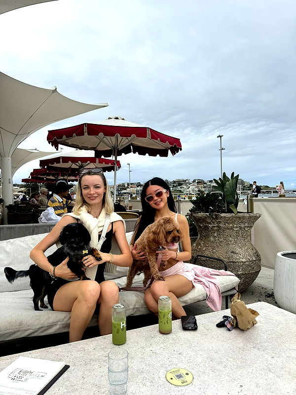 ppwyang0 image ~ Altpins