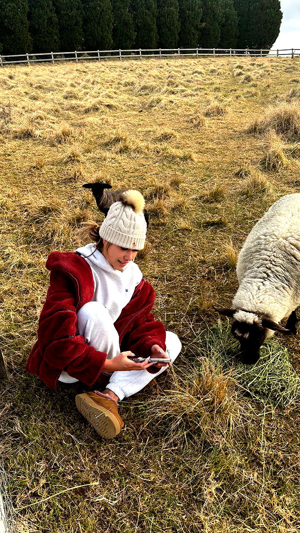 ppwyang0 image ~ Altpins