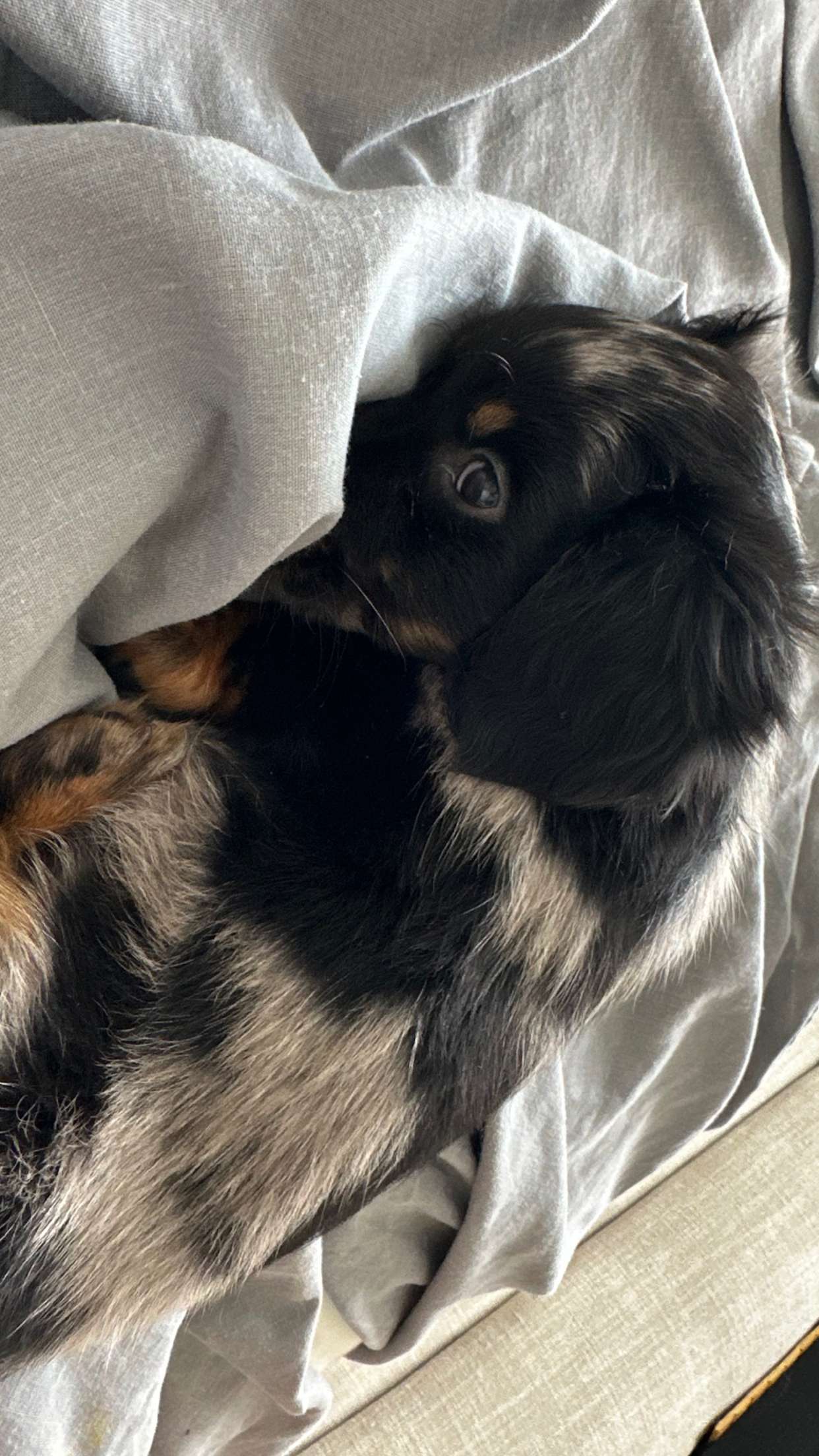 ppwyang0 snapchat image archive image