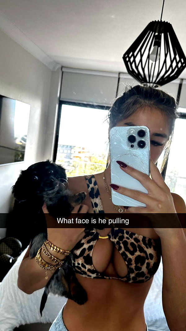 ppwyang0 image ~ Altpins