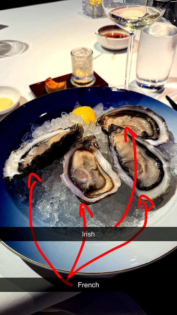 ppwyang0 image ~ Altpins