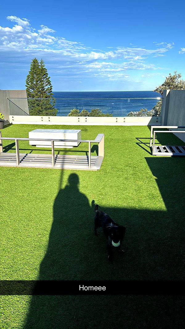 ppwyang0 image ~ Altpins