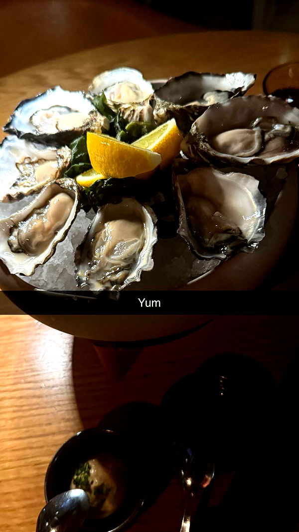 ppwyang0 image ~ Altpins