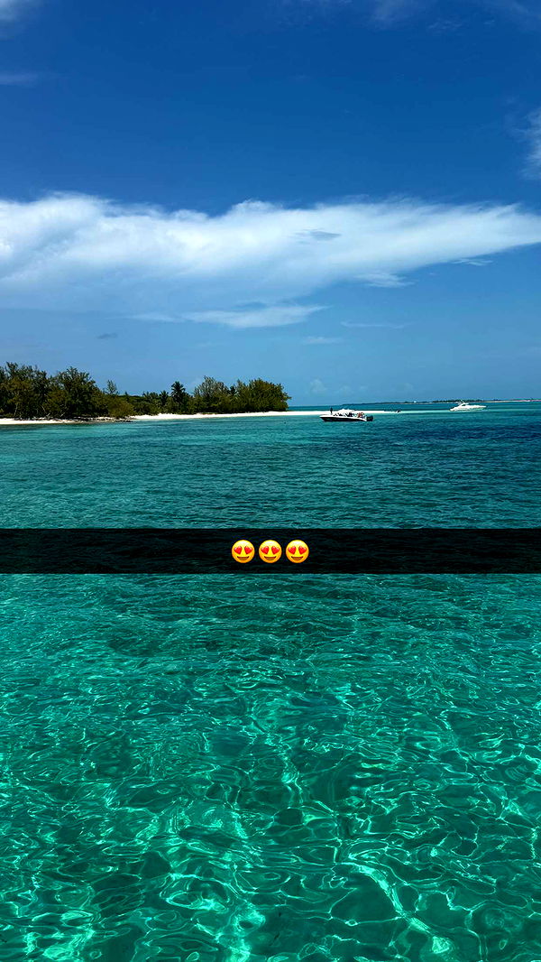 ppwyang0 image ~ Altpins