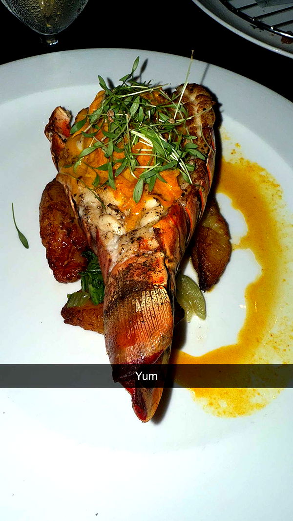 ppwyang0 image ~ Altpins