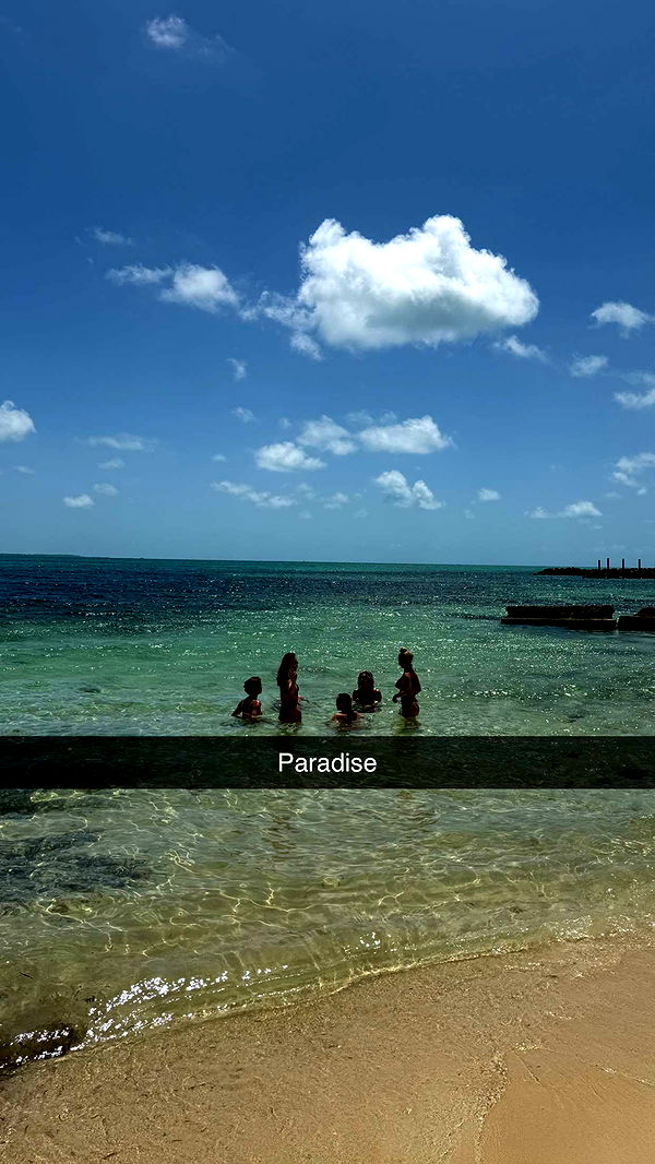 ppwyang0 image ~ Altpins