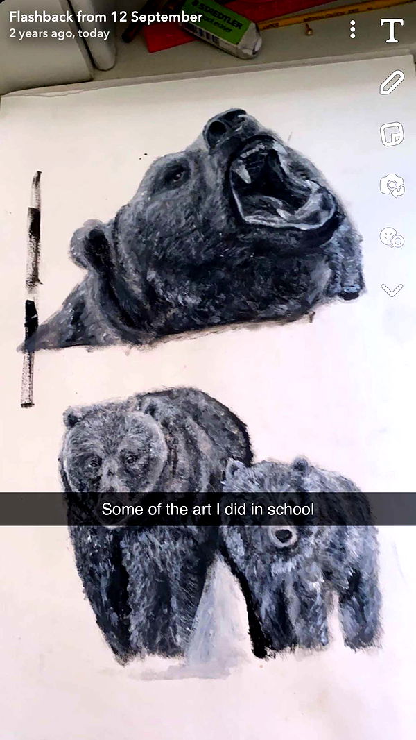 ppwyang0 image ~ Altpins