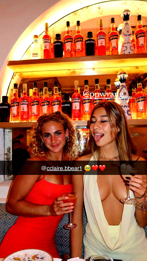 ppwyang0 image ~ Altpins