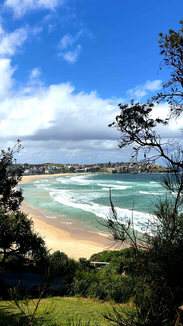 ppwyang0 image ~ Altpins