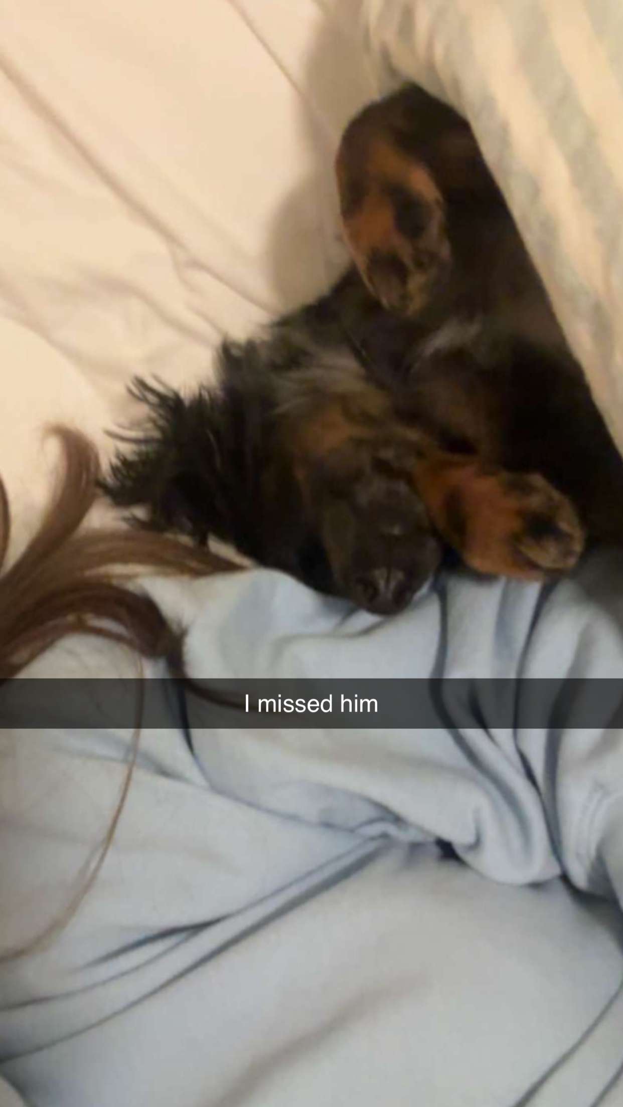 ppwyang0 snapchat image archive image