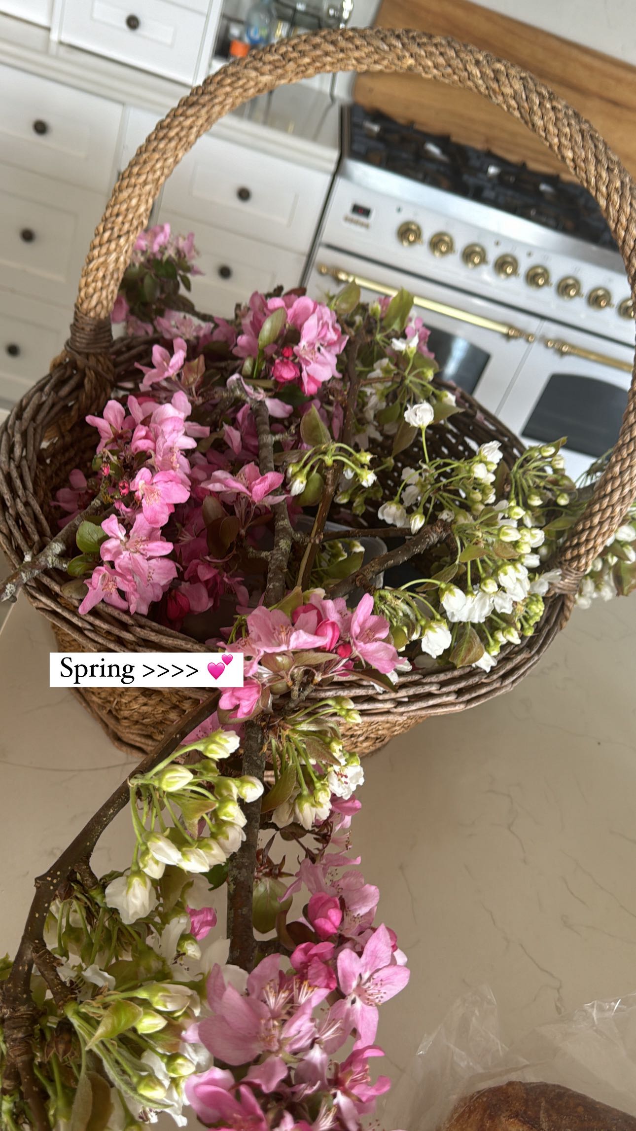 ppwyang0 snapchat image archive image