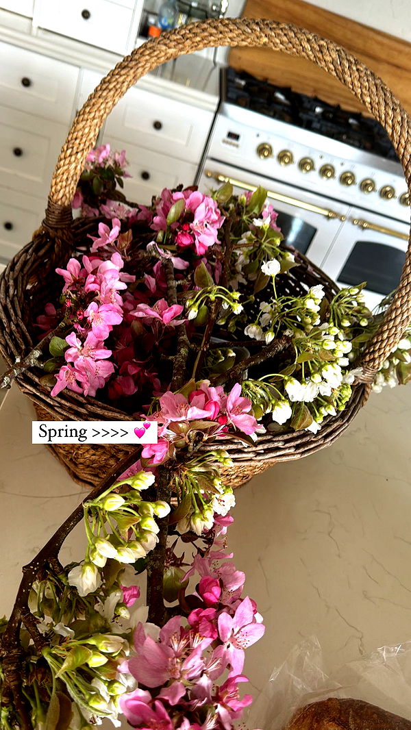 ppwyang0 image ~ Altpins