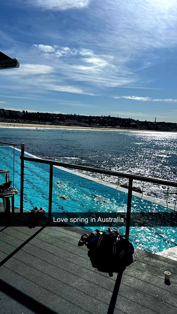 ppwyang0 image ~ Altpins