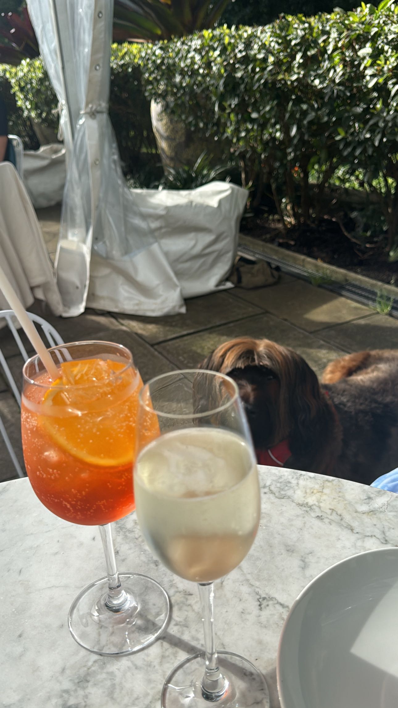 ppwyang0 snapchat image archive image