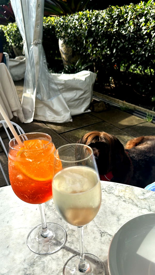 ppwyang0 image ~ Altpins