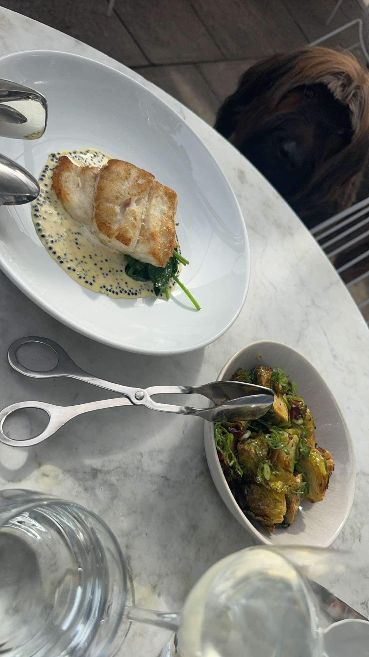 ppwyang0 snapchat image archive image