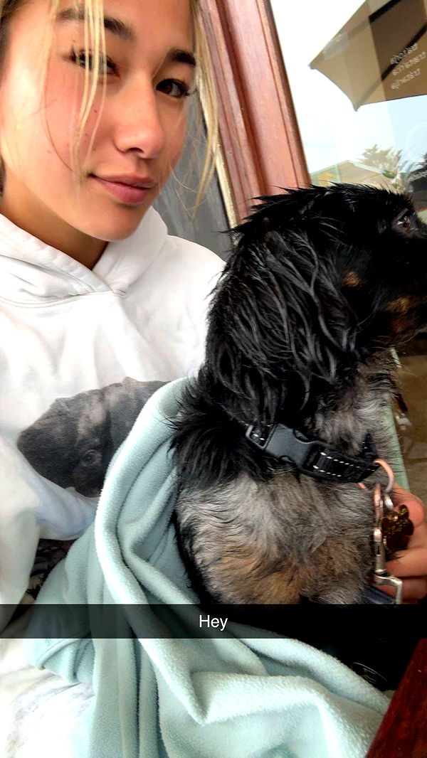 ppwyang0 image ~ Altpins