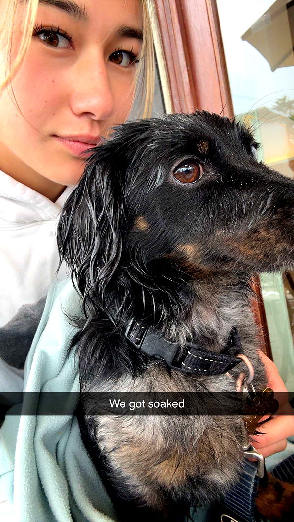 ppwyang0 image ~ Altpins