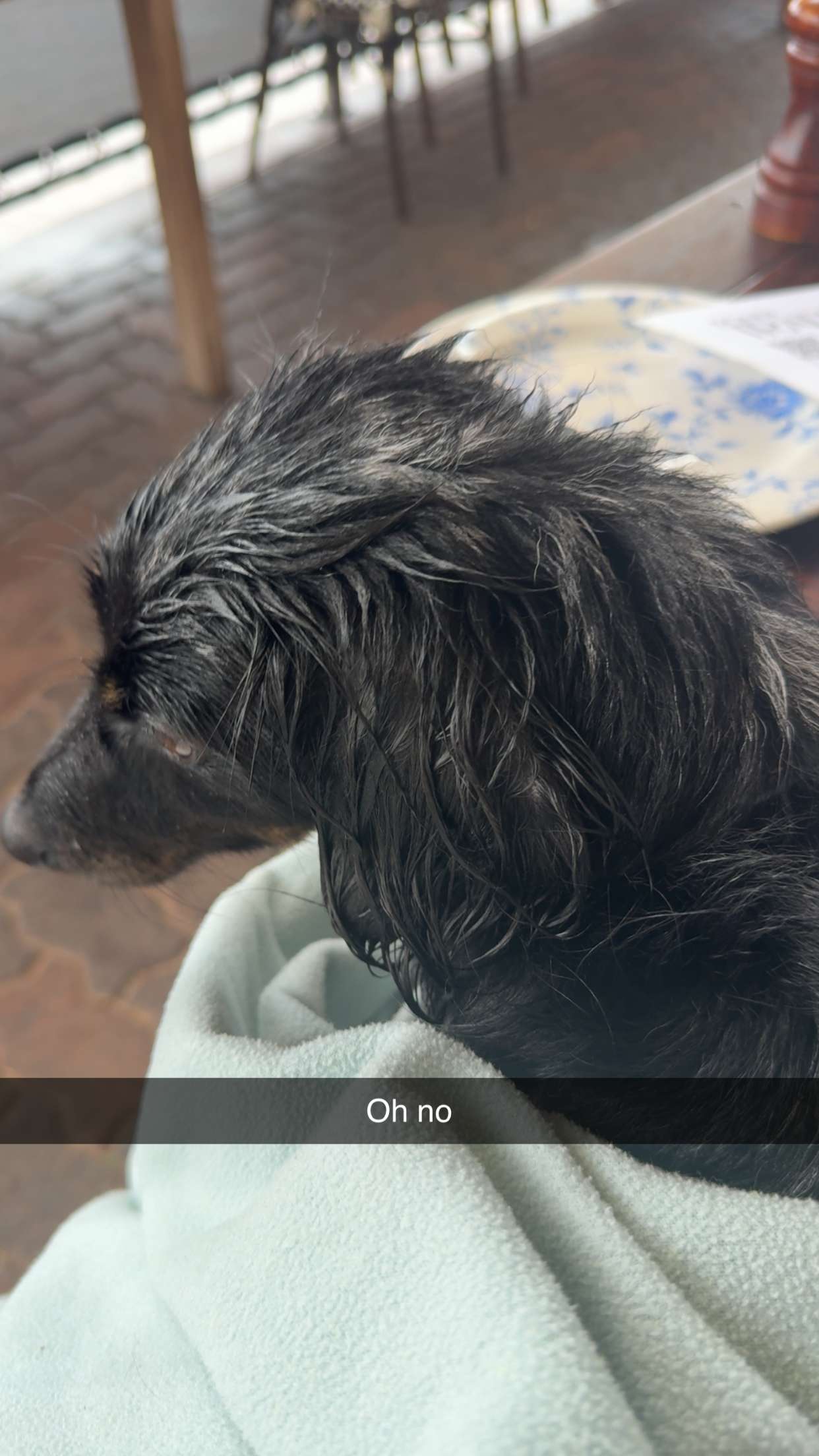 ppwyang0 snapchat image archive image