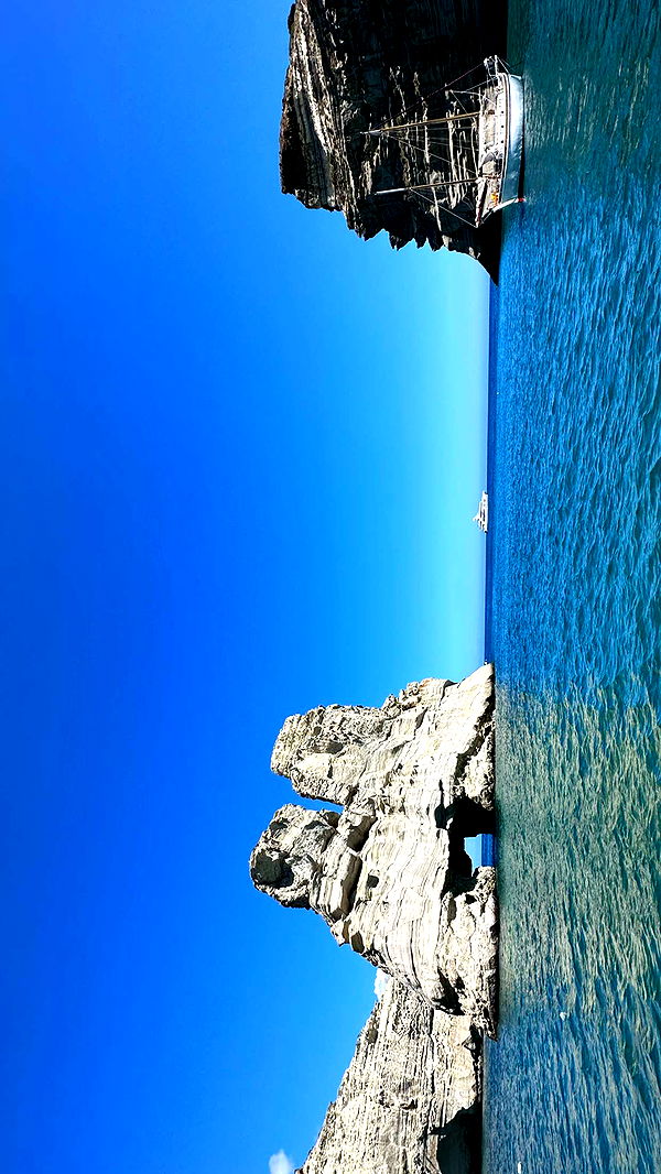 ppwyang0 image ~ Altpins