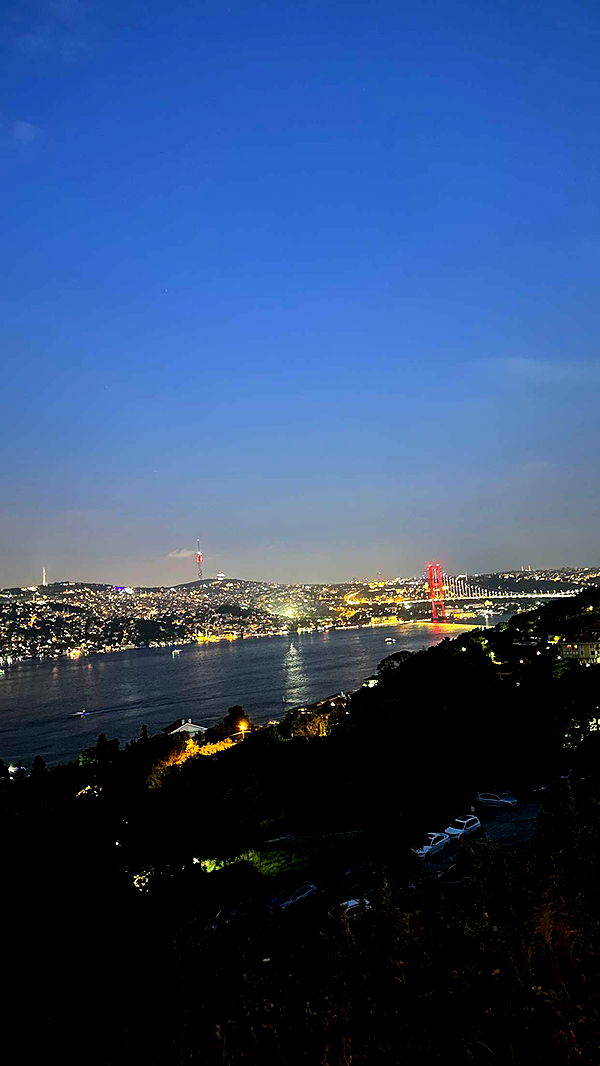 ppwyang0 image ~ Altpins