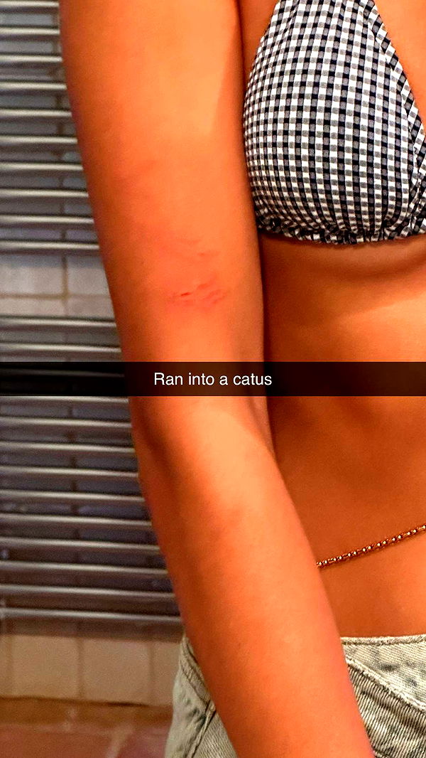 ppwyang0 image ~ Altpins