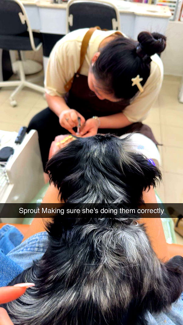 ppwyang0 image ~ Altpins