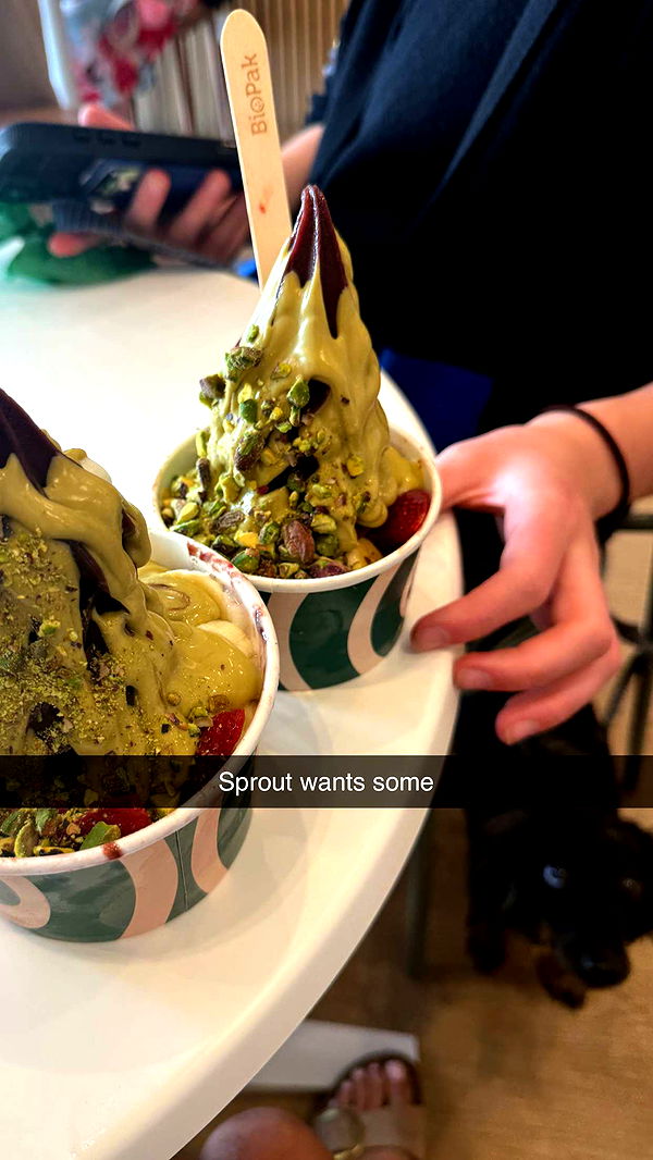 ppwyang0 image ~ Altpins