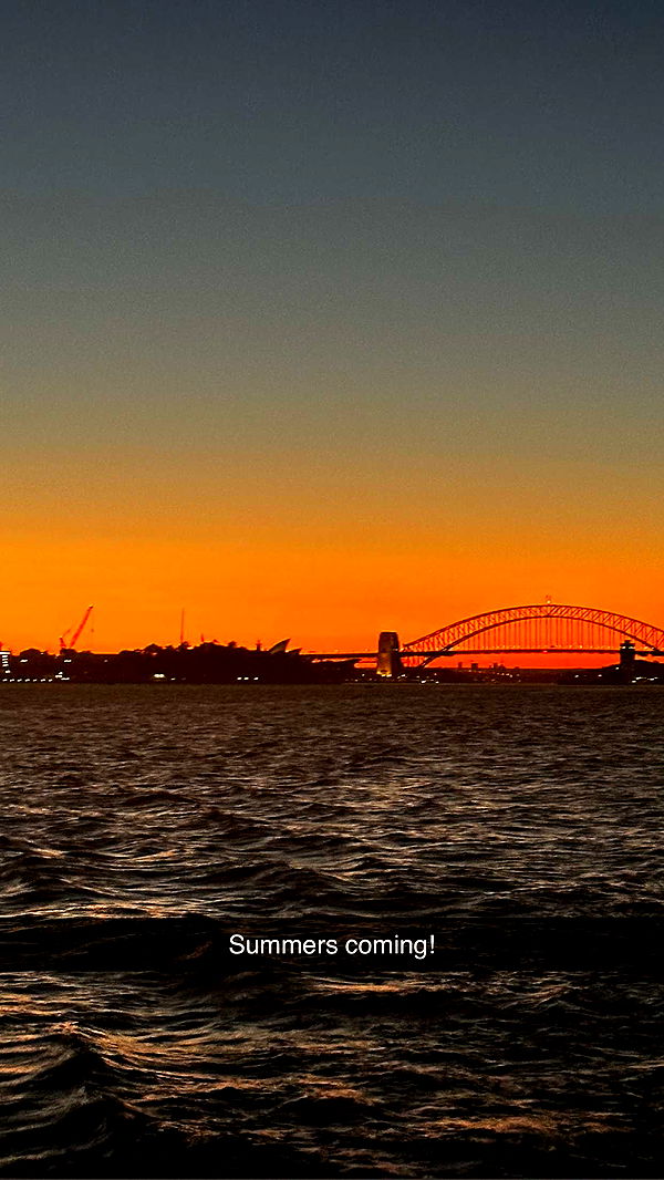 ppwyang0 image ~ Altpins