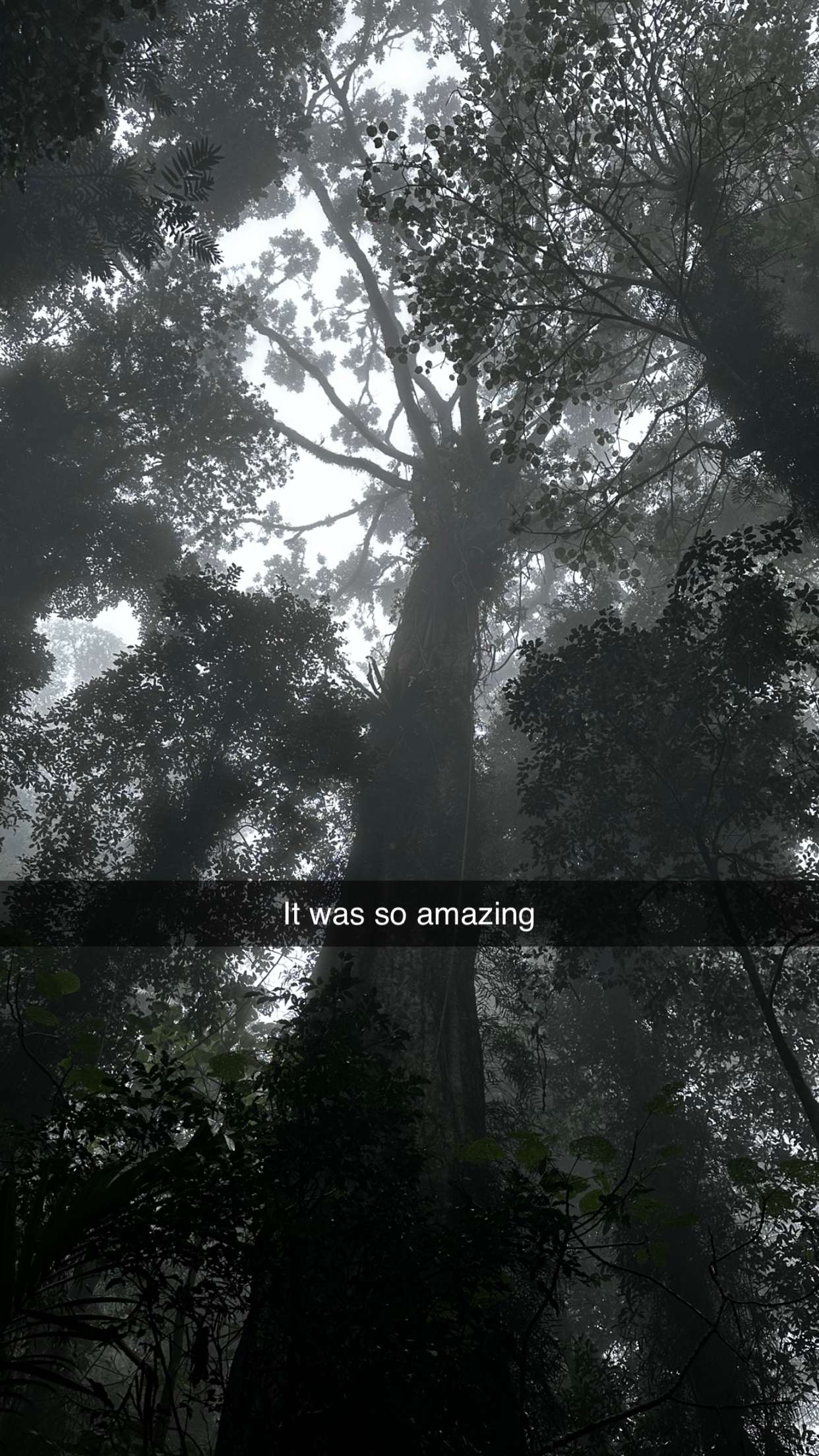 ppwyang0 snapchat image archive image