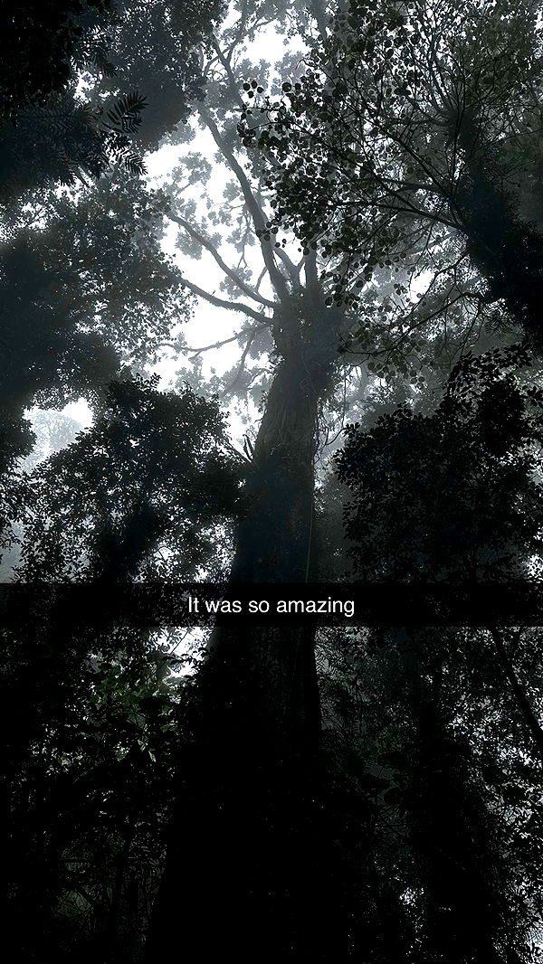 ppwyang0 image ~ Altpins