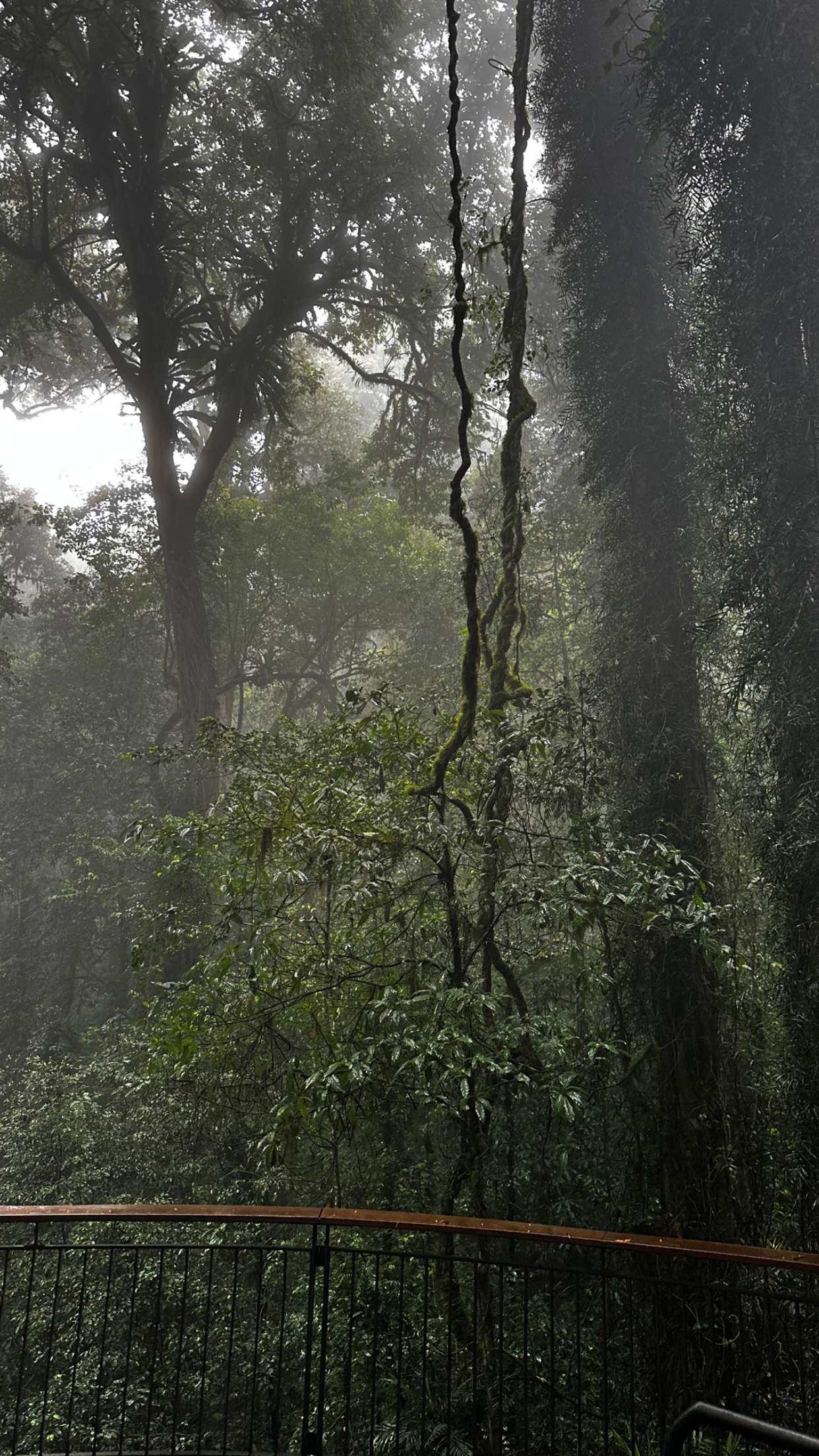 ppwyang0 snapchat image archive image