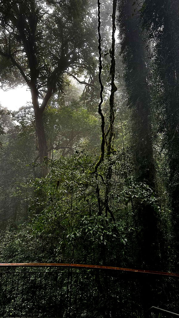 ppwyang0 image ~ Altpins