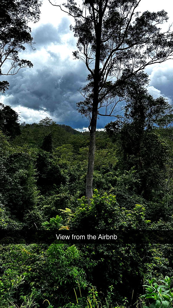 ppwyang0 image ~ Altpins