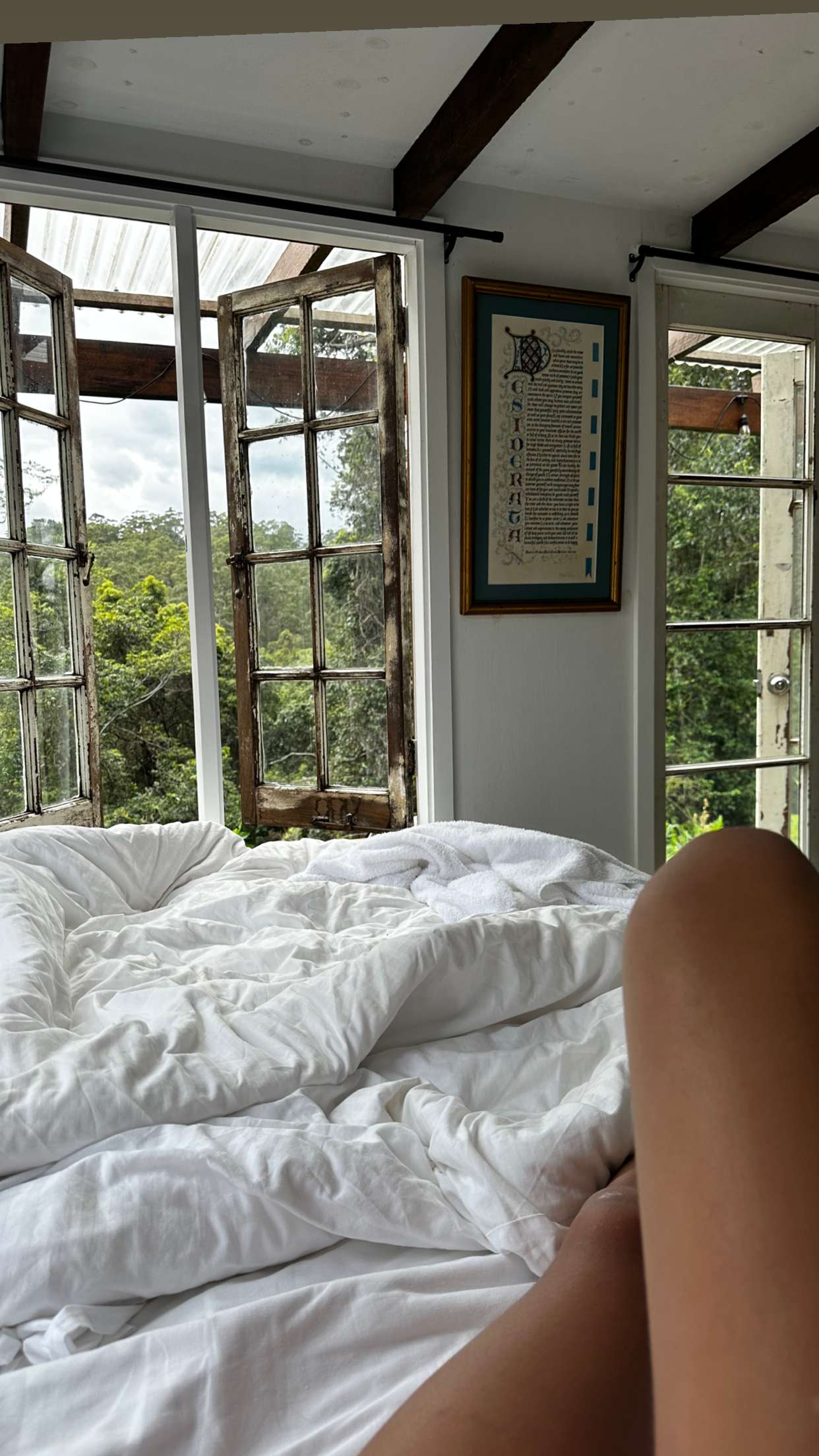 ppwyang0 snapchat image archive image