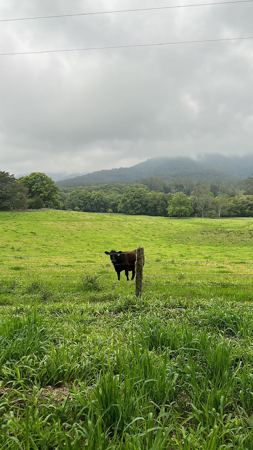 ppwyang0 snapchat image archive image