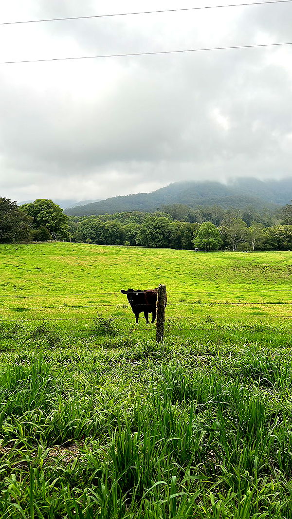 ppwyang0 image ~ Altpins