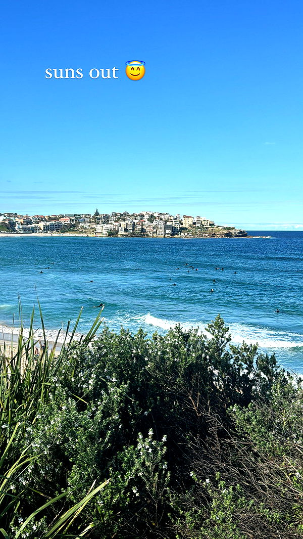 ppwyang0 image ~ Altpins