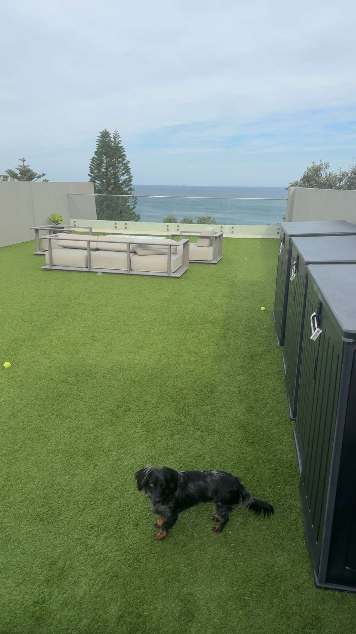 ppwyang0 snapchat image archive image