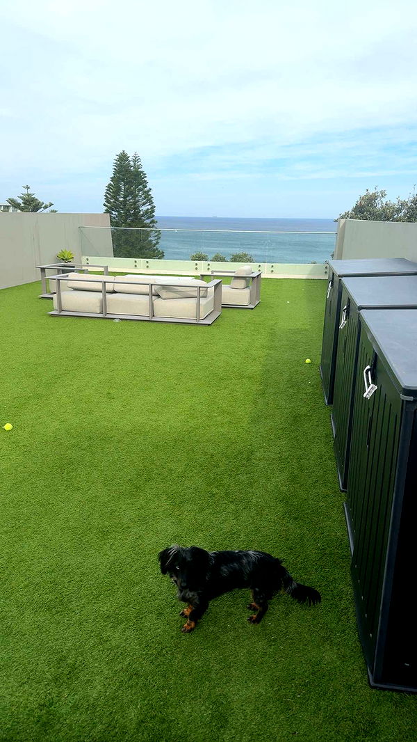 ppwyang0 image ~ Altpins