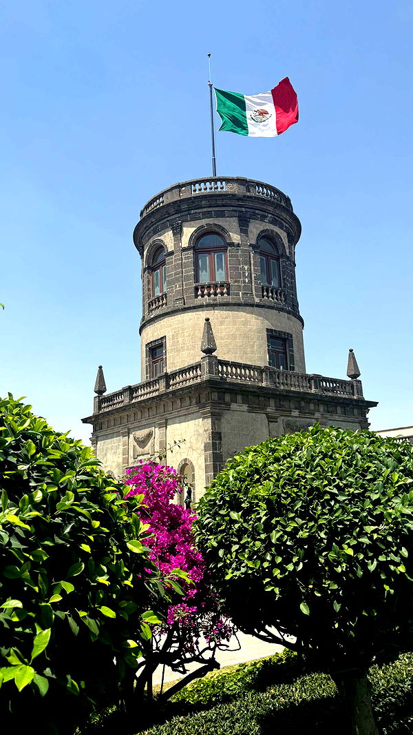 ppwyang0 image ~ Altpins