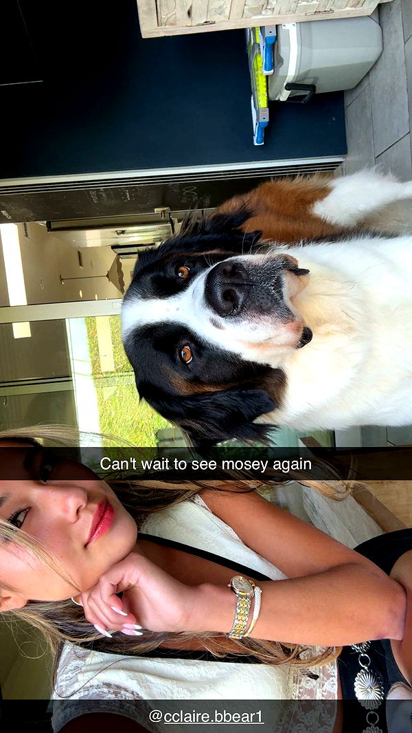 ppwyang0 image ~ Altpins