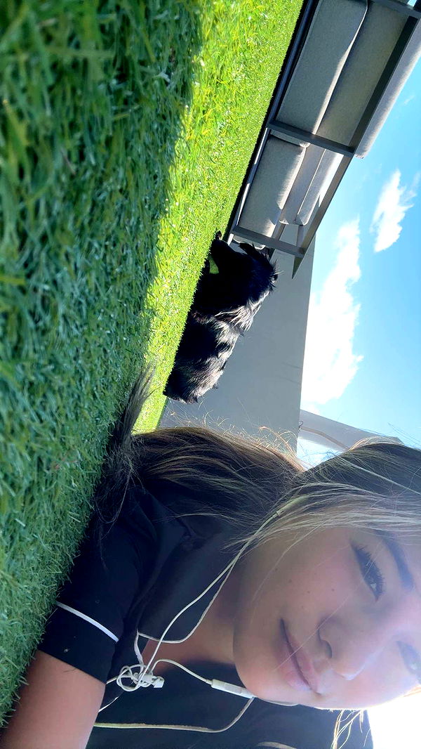 ppwyang0 image ~ Altpins