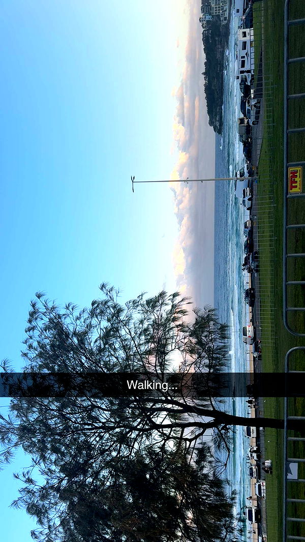 ppwyang0 image ~ Altpins