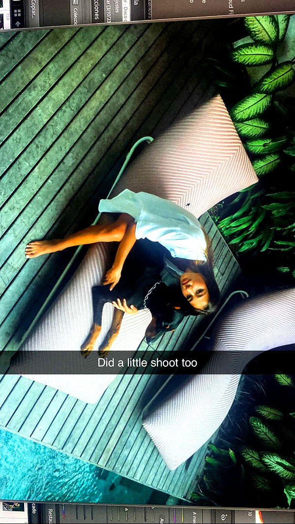 ppwyang0 image ~ Altpins